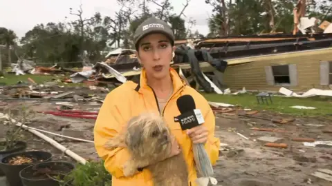 A TV newsman  holding a microphone and a canine  wearing a yellowish  jacket