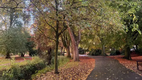 Roath park in autumn, Brown and orange leaves on the ground, with a cycle track, Green leaves still on trees