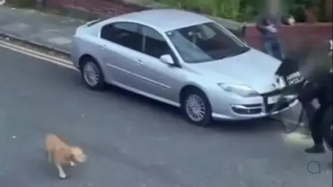 YappApp Two armed police officers, with their faces blurred, raise their weapons as they round a parked silver car and face a blond-haired XL bully dog on a street