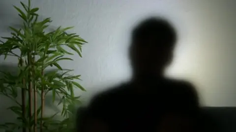 A blurred silhouette of the victim, with their head and shoulders against a white wall. There is also a potted plant to their left