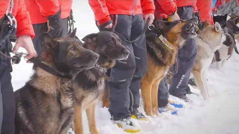 Robodrone Rescue dogs