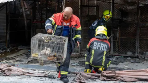 گتی ایماژ.  پس از آتش‌سوزی در بازار حیوانات خانگی در نزدیکی بازار Chatuchak در بانکوک در 11 ژوئن 2024، یک آتش‌نشان جوجه‌های زخمی در قفس را حمل می‌کند.
