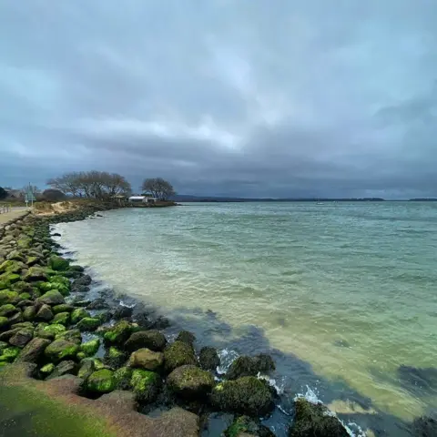 Nik Spicer MONDAY - Shell Bay