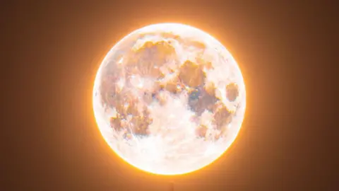 Josh Dury A picture of a pink moon