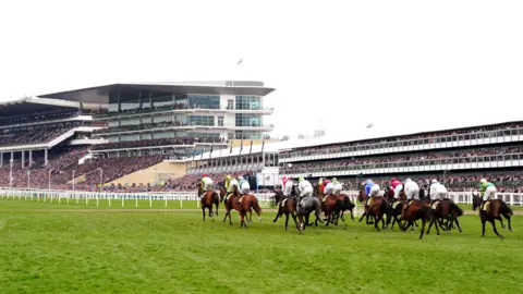 PA Runners and riders during the JCB Triumph Hurdle on day four of the 2025 Cheltenham Festival at Cheltenham Racecourse