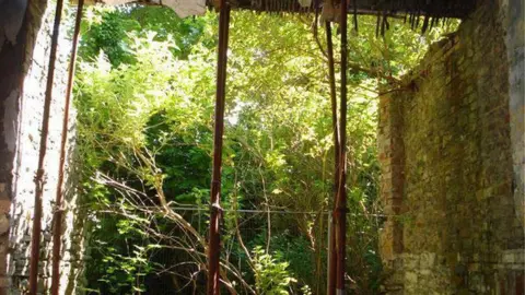 Cardiff council report State of the building in 2016