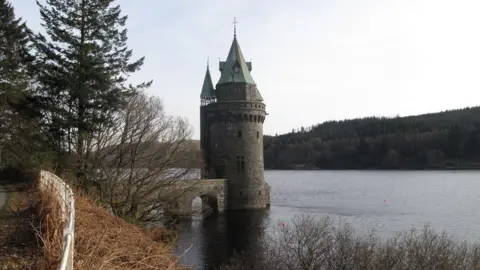 Rude Health / Geograph A view of Vyrnwy Tower from the banks of the lake.