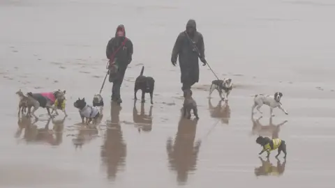 PA Media/Owen Humphreys Dog walkers brave the rain and wind on the beach in Tynemouth