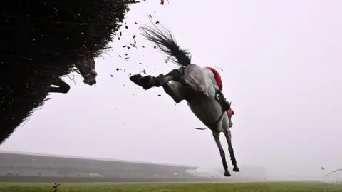 Getty Images A horse called First Lord de Cuet ridden by Jack Tudor, is seen clearing a fence at Wincanton Racecourse in Somerset. The picture is taken from the base of the jump and shows the horse in the air about to land. The main stand is visible in the background through a light fog