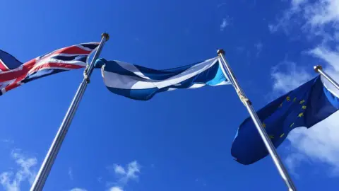 Getty Images flags