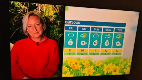 Instagram/ ruthisasurvivor A picture of a TV screen where Dodsworth is presenting the news, wearing a red jumper. 