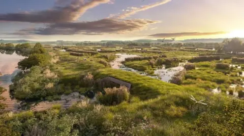 A digital image of the vision for the Eelscapes project showing flowers and wildlife around pools of water and grassy banks next to the river.
