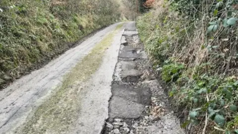 BBC Potholes along the side of a rural road in south Wiltshire