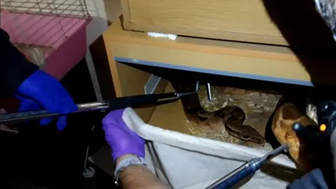 Cleveland Police Snake in a drawer