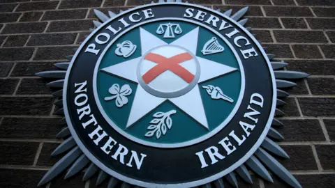 The PSNI emblem on a brick wall. It features a torch, a leaf, a shamrock, a crown, scales and a harp. 
