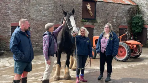 Staff at the Shire Horse Centre Farm gather around a black and white Shire horse in the middle of a courtyard. There is an orange tractor behind them.