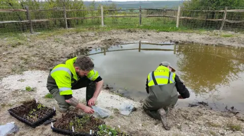 Fiona Scully Men in hi-visibility jackets putting plants in the pond at Magdalen Hill down in Winchester