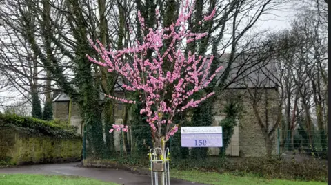 Sarah Moon  An image of a church with a cherry blossom tree in the foreground and a church beyond but with an blank wall ahead 