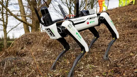 Photo of the robot dog, which is white and black, on the ground near some trees