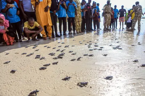 Andrew Kasuku/Anadolu Agency Kenyans release hatchlings into the ocean to raise awareness on World Sea Turtle Day at Nyali Beach in Mombasa, Kenya, on 16 June.