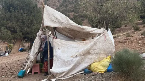 Ella Williams Temporary shelter made of branches and sheets of tarpaulin