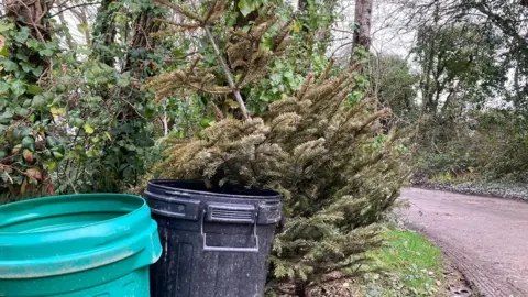 BBC Old Christmas tree next to bins