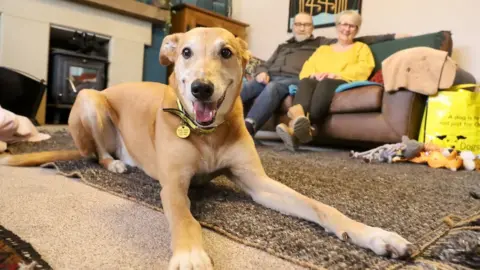 KJ PHOTOGRAPHY Jake in his new home