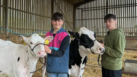 The brothers looks at the camera. They are standing in a barn holding halters to two cows. The brother on the left is wearing a multi-coloured hoodie and jeans while the brother on the right is wearing a khaki hoodie and black trousers. Both have short brown hair.