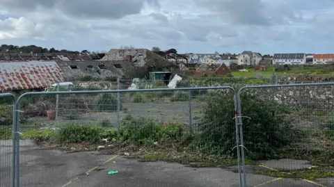BBC The view of the brownfield site from being a steel fence. There are empty buildings, and trees which have grown through the concrete ground.