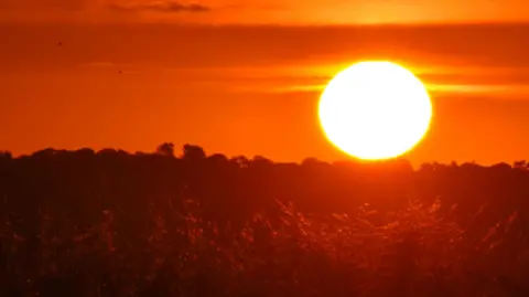 StormChaserLiam The sun has just risen above the horizon and glows bright orange across the landscape illuminating bushes in the foreground