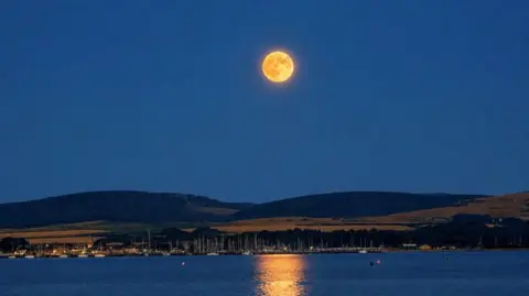 Amy Thompson A gold-coloured full moon sits high in the sky over the coast. A strip of golden light from the moon shimmers on the surface of the sea.