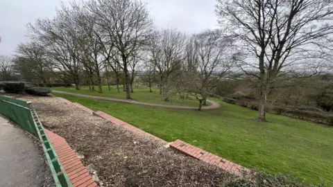 A park with several winter trees in it. At the front of the park is a green fence.