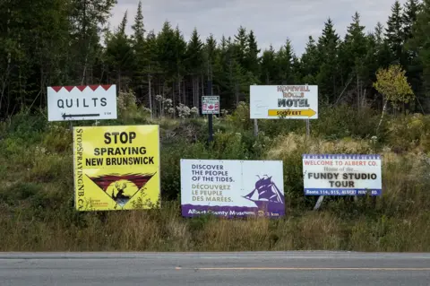 'Stop spraying New Brunswick.' Others are simple ads, including for a quilt store and a hotel.
