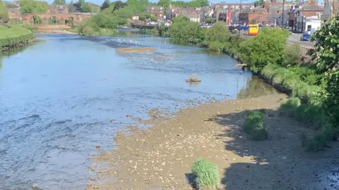 a body of water which has exposed a muddy waterbed.