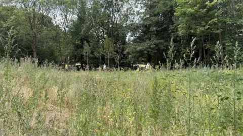 Archie Simpson Tarling/BBC a wildflower meadow with trees in the background 
