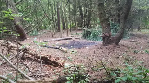 Friends of Havannah Remains of fire damage