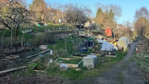 An allotment in Bristol in need of repair