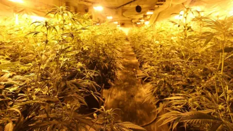 Nottinghamshire Police Cannabis farm