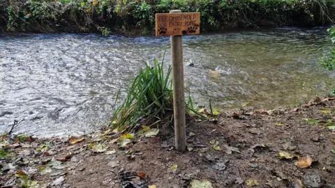 Truro City Council One of the signs set into the muddy level bank of a shallow river with its far bank visible. The wooden sign is screwed on to a wooden post that reads 'Recommended dog entry point' in capital letters burnt in to the wood. There is a line drawing of a spotted dog standing in water and two paw large dog prints burnt in to the wood.