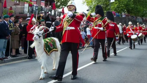 Army Shenkin with his handler Goat Major Sergeant Mark Jackson