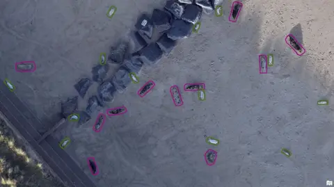 Natural England A drone image of grey and white seals on a beach, with a rock groyne, with each animal highlighted with green or pink circles.