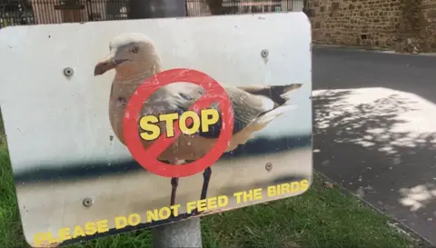 BBC Warning sign saying not to feed the birds
