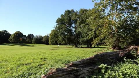 Blaby District Council An open green space with mature trees