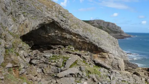 George Nash A general view of Bacon Hole cave. Its opening is in the shape of a triange, with the sea and more cliffs behind it, with the blue sky beyond. There are small rocks covering the ground in front of the cave entrace. 