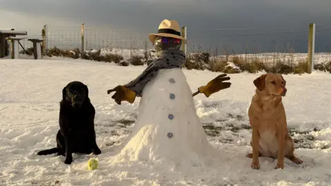 South Uist Vibes/Weather Watchers A snowman with two dogs either side in the snow in Denbigh
Denbighshire 