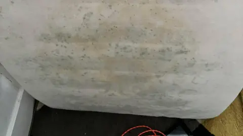 Charlotte Hardie A white mattress shows green mould and staining. 