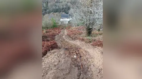 Natural Resources Wales The muddy brown aftermath of a hillside landslip.