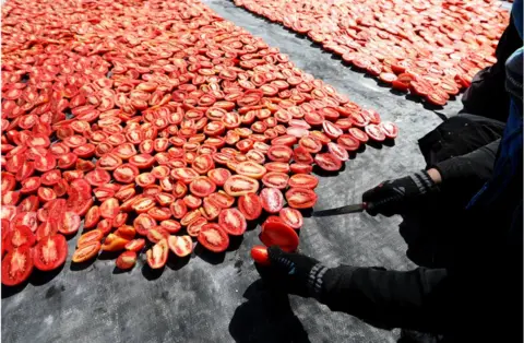 Getty Images A woman with a knife cutting tomatoes in half. There are several tomatoes laid out in front of her.