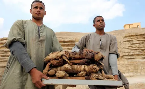Reuters Workers at an archaeological dig carry mummified cats, Saqqara, Egypt - Saturday 10 November 2018