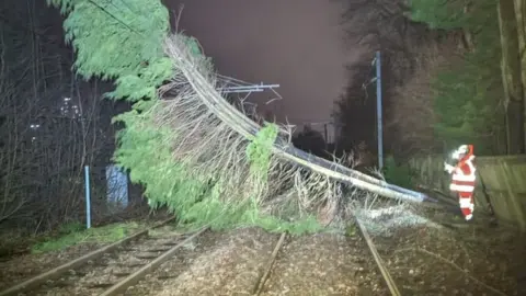 @NetworkRailSCOT A tree caused damaged to overhead rail power lines in Gartcosh in North Lanarkshire